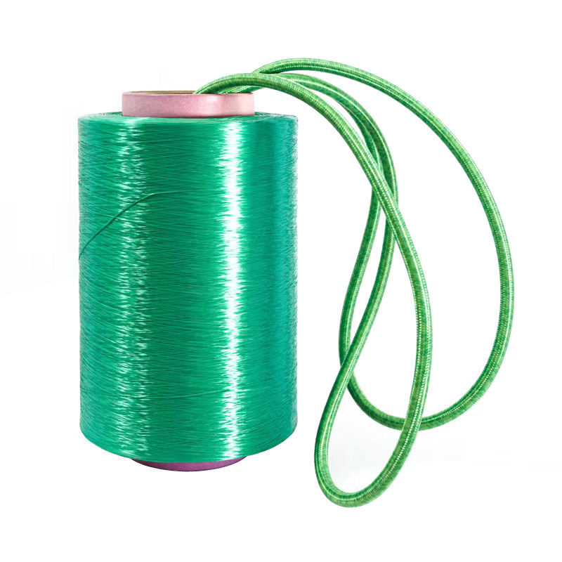 What is the Future of the Polyester Industrial Yarn Market